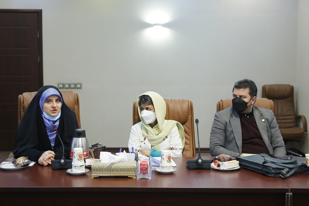 سند ملی توسعه فناوری های فرهنگی و نرم